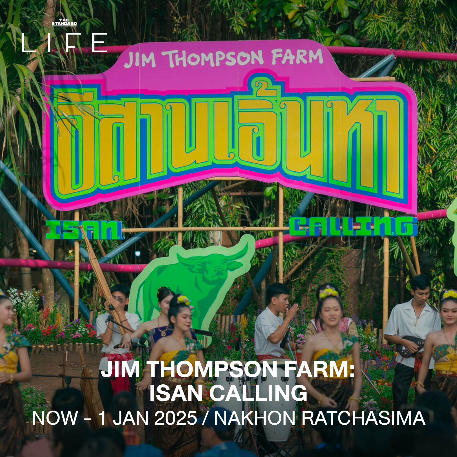 JIM THOMPSON FARM: ISAN CALLING / NOW - 1 JAN 2025 / NAKHON RATCHASIMA 