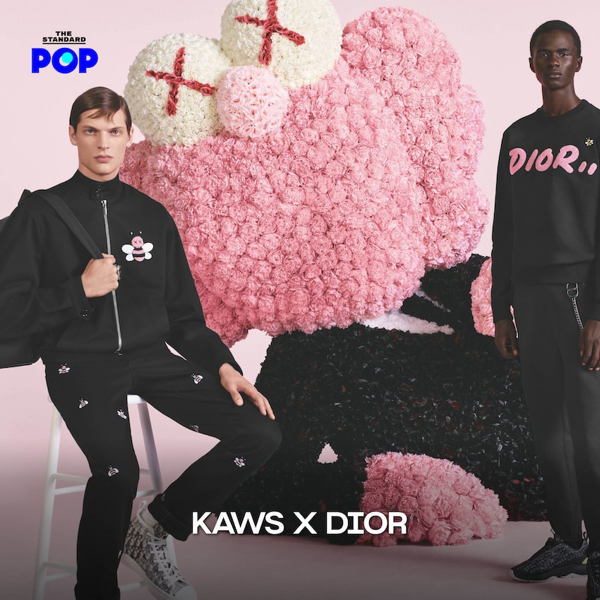 KAWS x DIOR