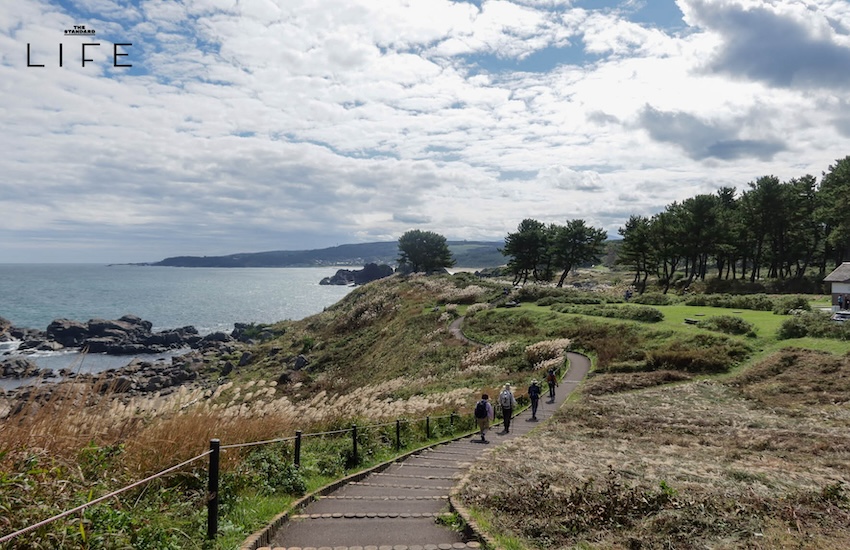 ทำไมถึงเลือก Michinoku Coastal Trail?