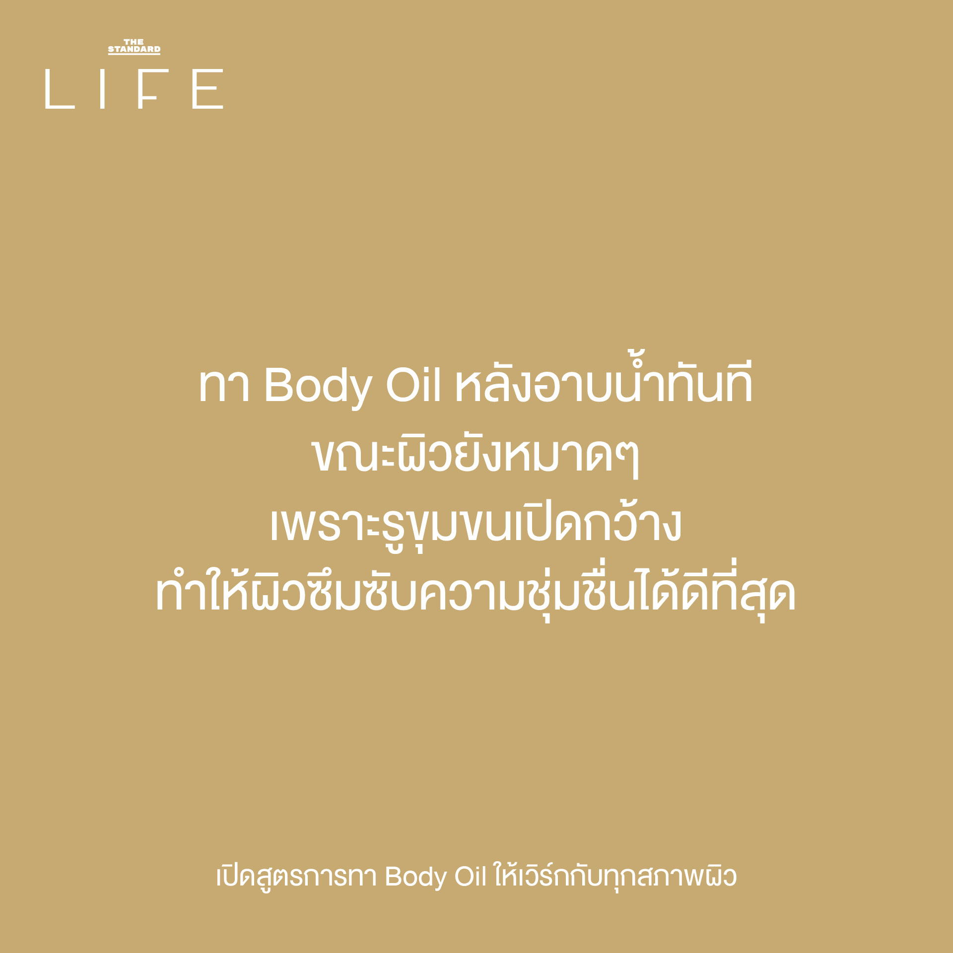 Body Oil 