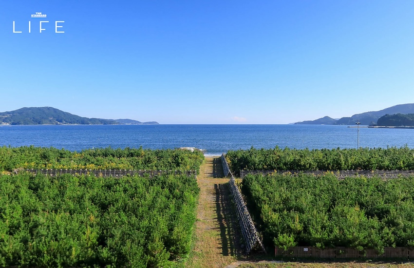 ค่าใช้จ่ายในการร่วมทริป Walk Japan