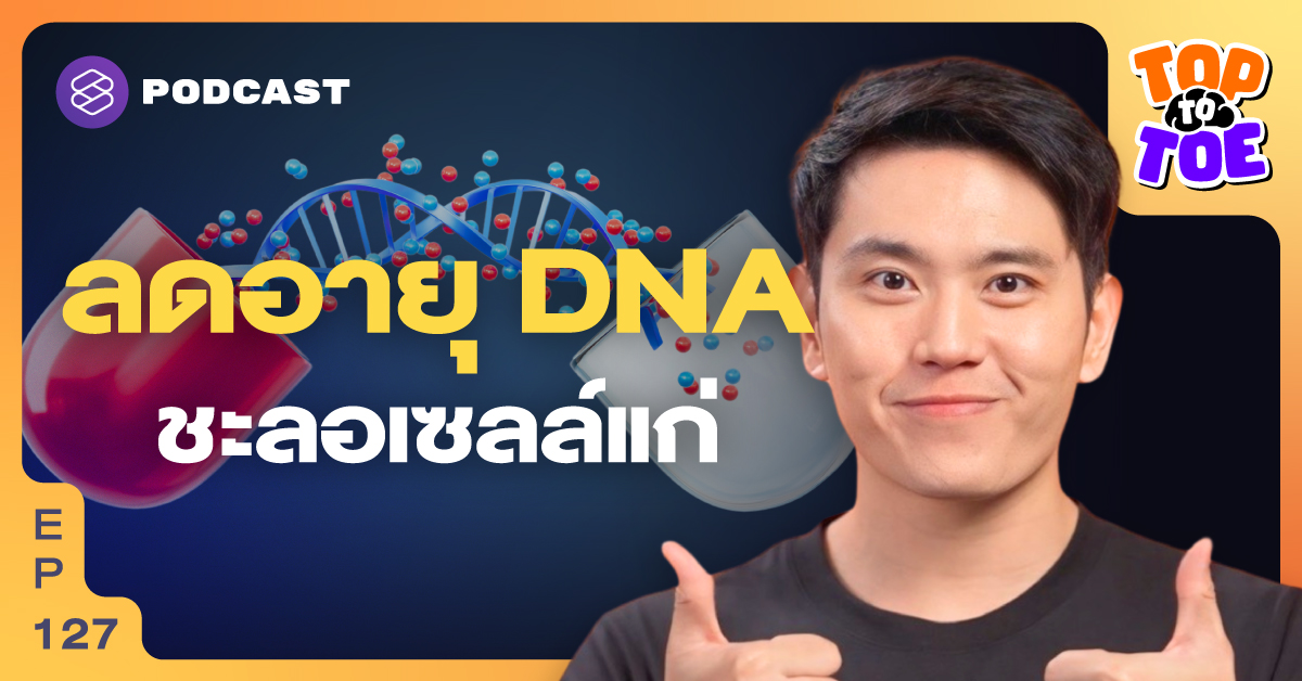 เทคนิคดูแลเซลล์ ลดอายุ DNA เพิ่ม Healthspan ให้ชีวิต