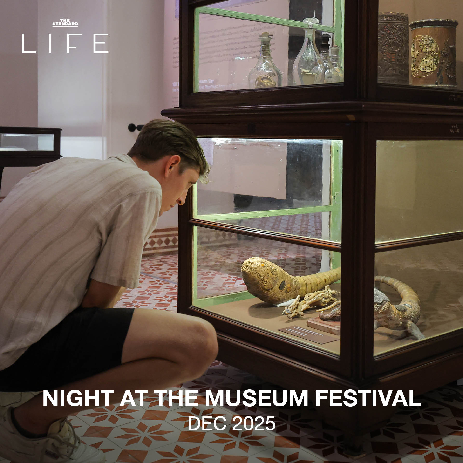 NIGHT AT THE MUSEUM FESTIVAL 