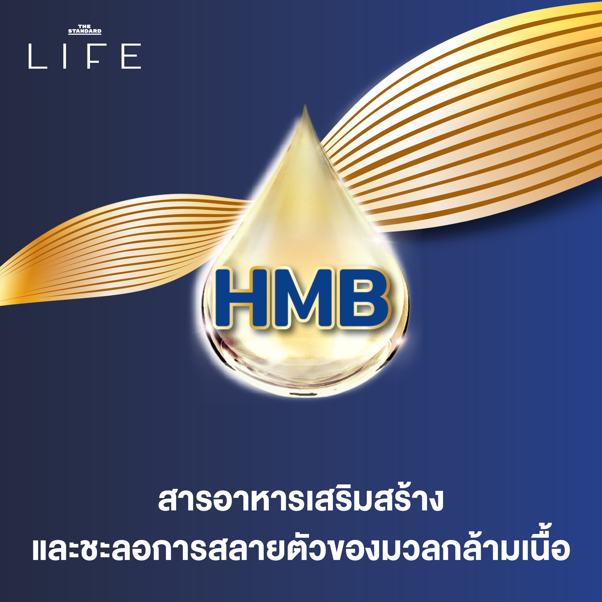 สารอาหารเสริมสร้างและชะลอการสลายตัวของมวลกล้ามเนื้อ 