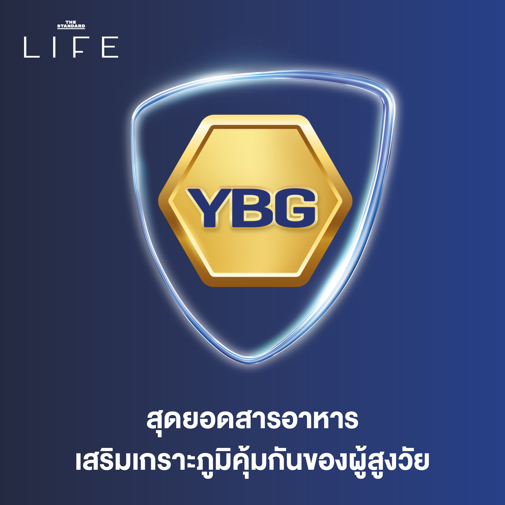 สุดยอดสารอาหารเสริมเกราะภูมิคุ้มกันของผู้สูงวัย ลิงค์ icon 