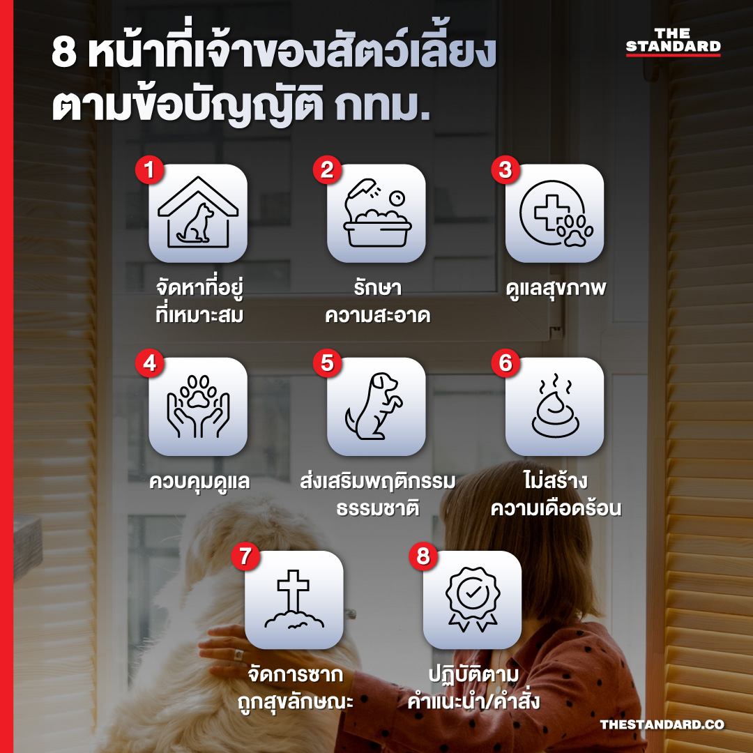 8 หน้าที่เจ้าของสัตว์เลี้ยงตามข้อบัญญัติ กทม. 