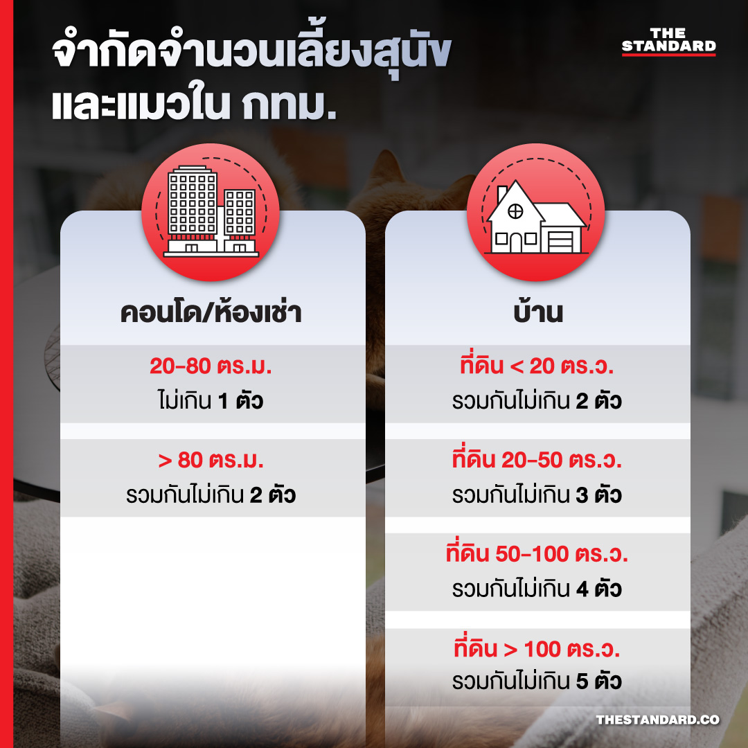 จำกัดจำนวนเลี้ยงสุนัขและแมวใน กทม. 