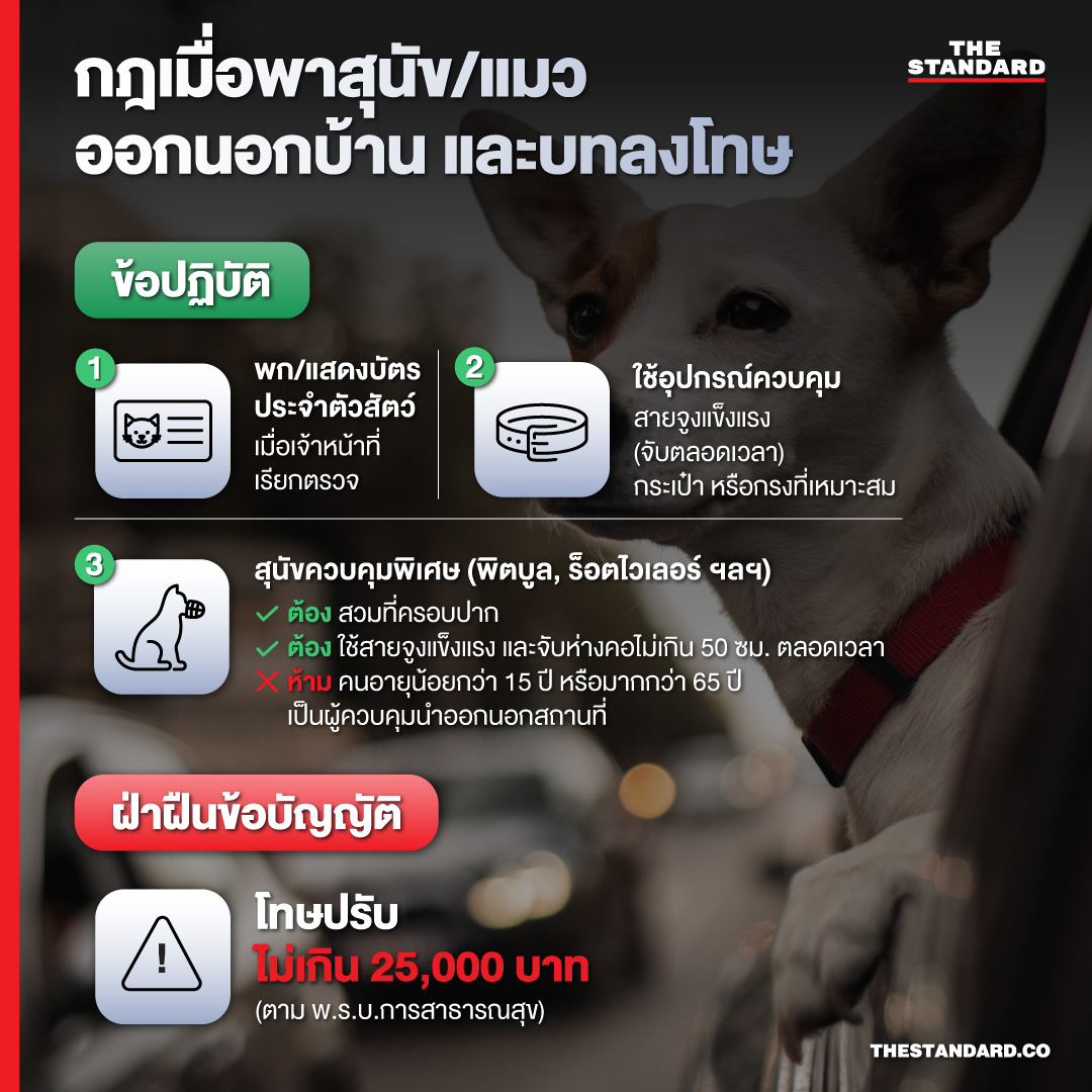 กฎเมื่อพาสุนัข/แมวออกนอกบ้าน และบทลงโทษ 