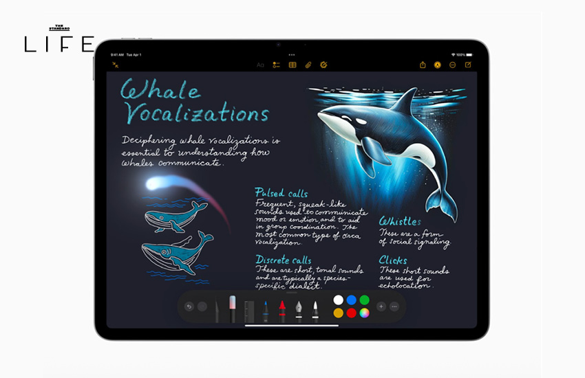 iPad Air M3