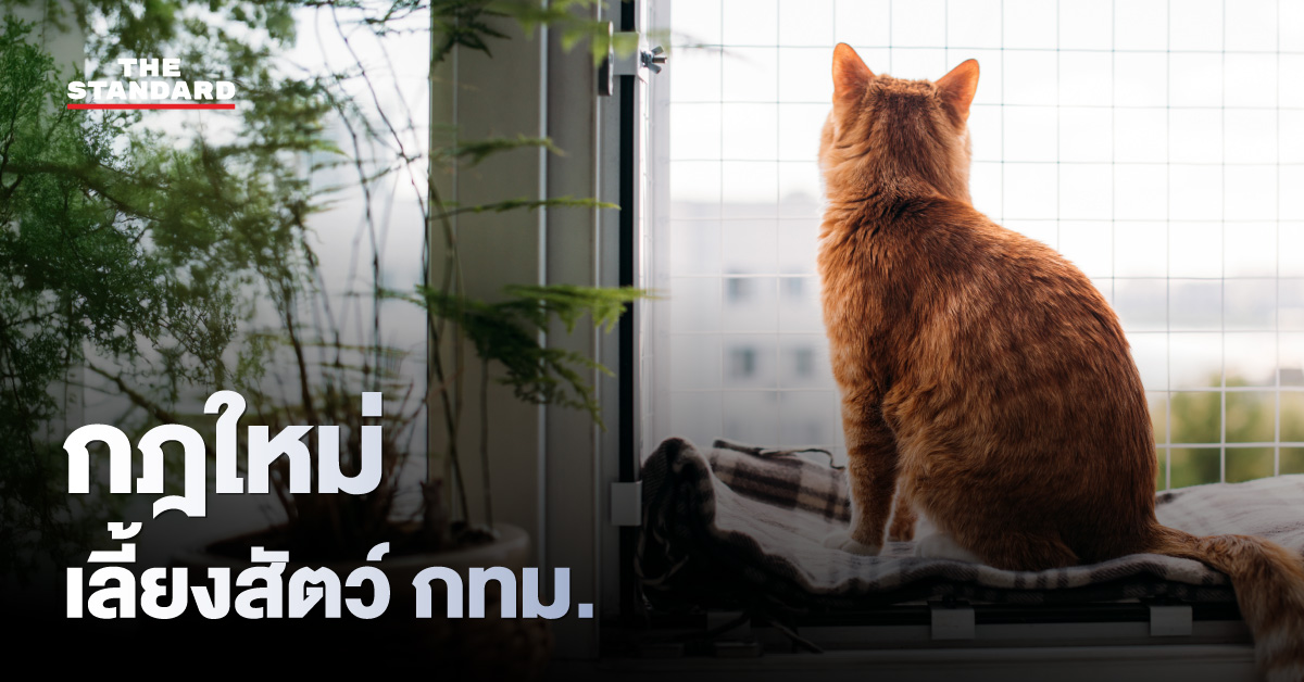bangkok-pet-law-2026