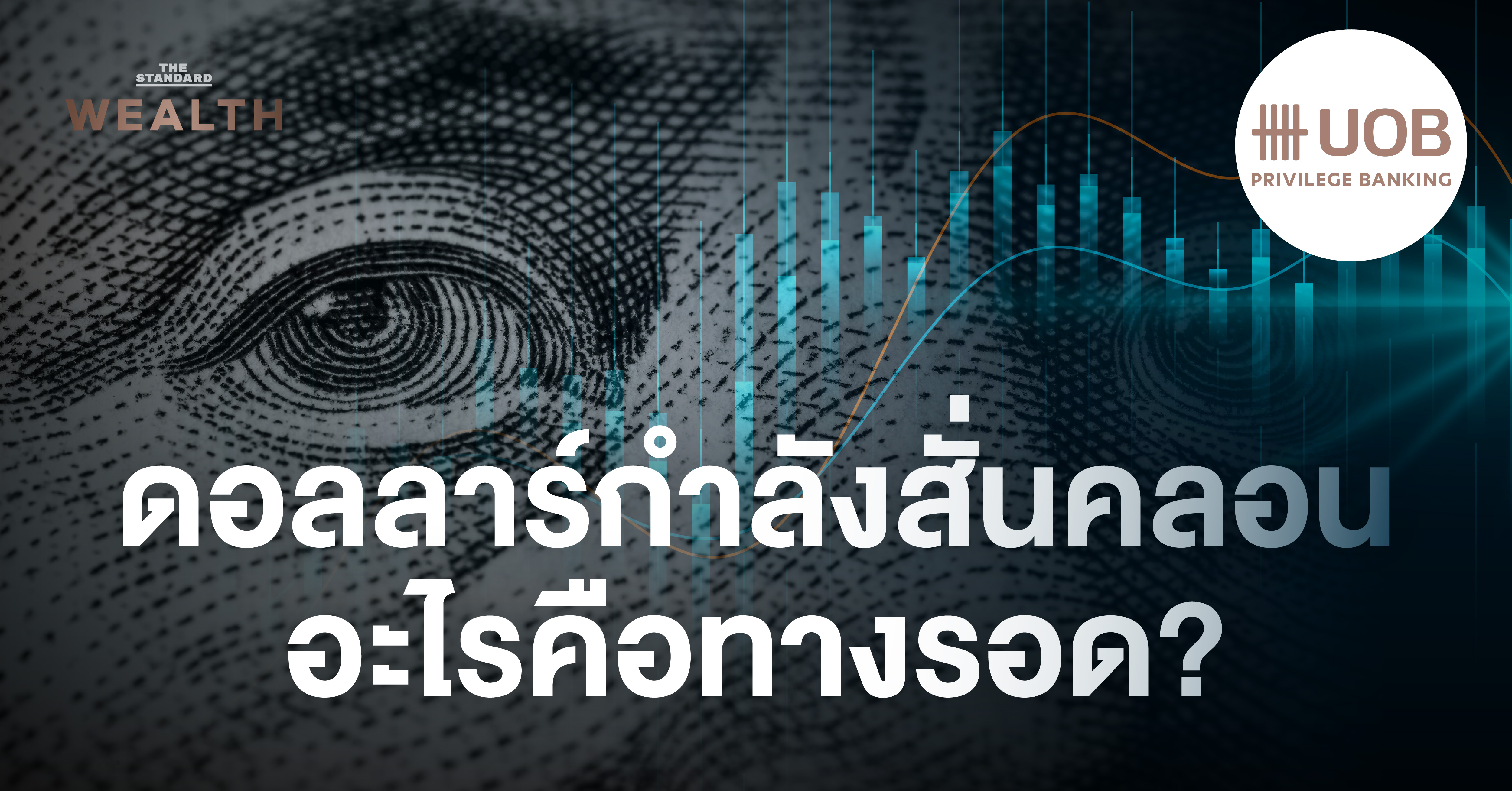 usd-investment-strategy