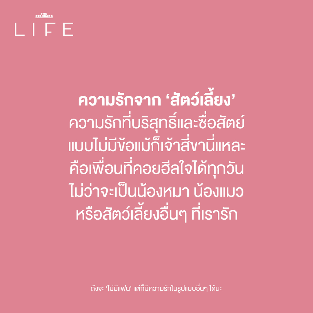 ความรักจาก ‘สัตว์เลี้ยง’
