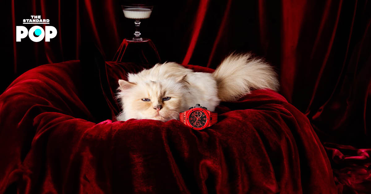 Choupette แมวตาสีฟ้าของ Karl Lagerfeld ปรากฏตัวใน แคมเปญฉลองครบรอบ 20 ปีนาฬิกา Big Bang ของแบรนด์ Hublot