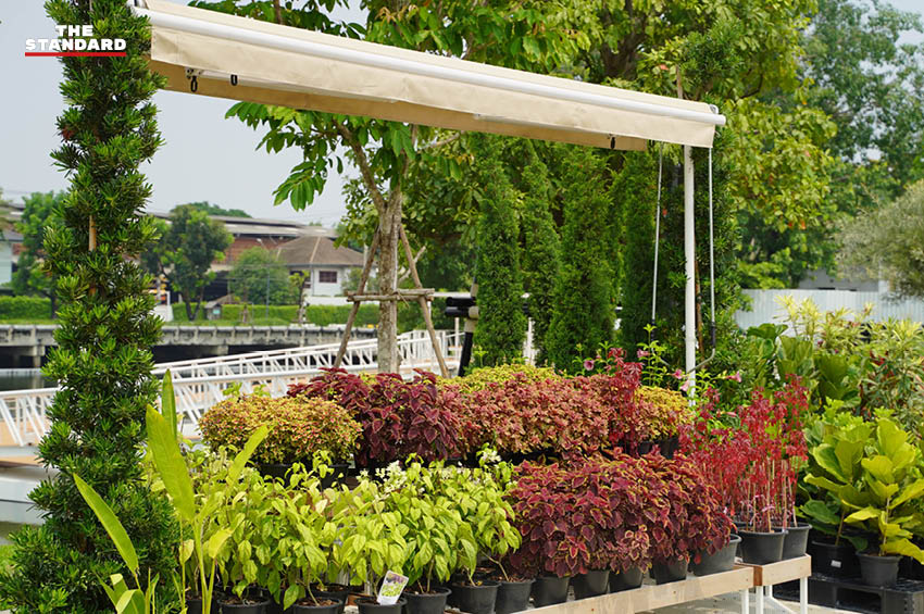 SAMA Garden ไลฟ์สไตล์กรีนกลางบางนา