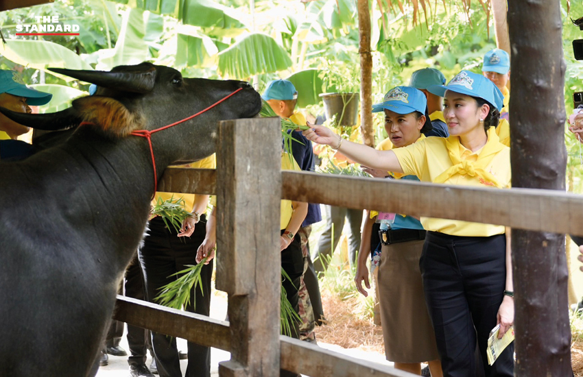 แพทองธารเยี่ยมศูนย์จิตอาสา 904 พร้อม ครม.