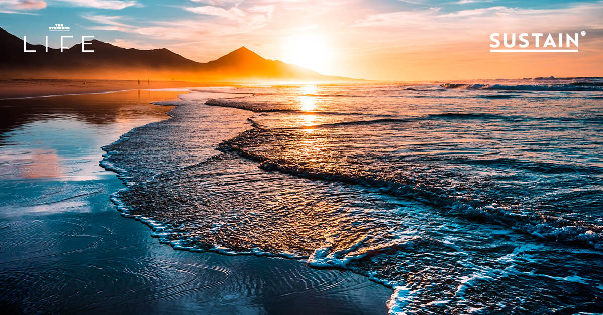 World Ocean Day
