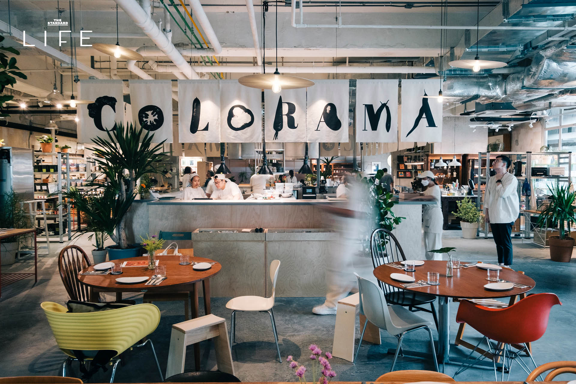บรรยากาศภายในร้าน FRIEND FRIEND พร้อมสินค้าไลฟ์สไตล์และคาเฟ่ในพื้นที่กึ่งเอาต์ดอร์