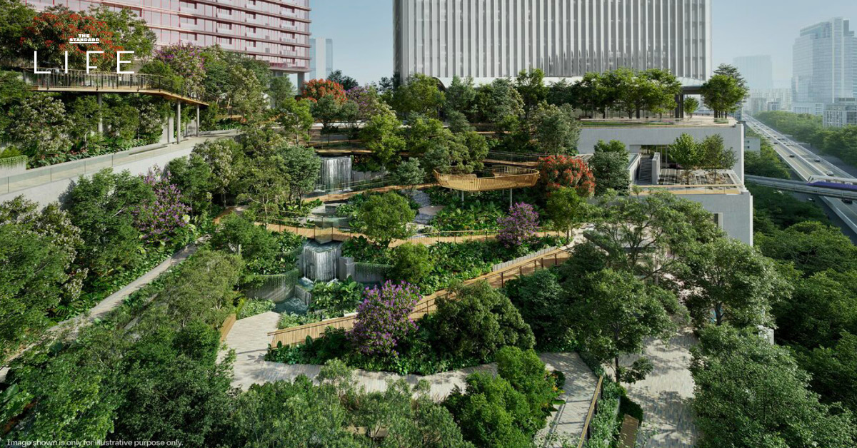 Roof Park สวนลอยฟ้า 7 ไร่ ใจกลางกรุงเทพฯ เชื่อมวิวสวนลุมพินี