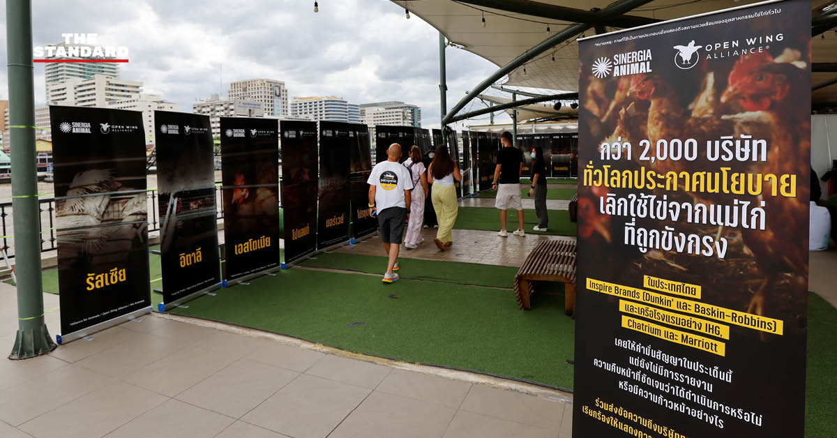 hens-cage-free-exhibit