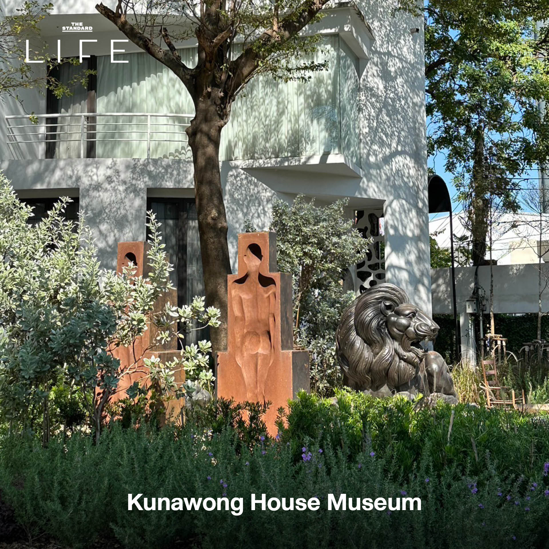 Museum STAR 2025