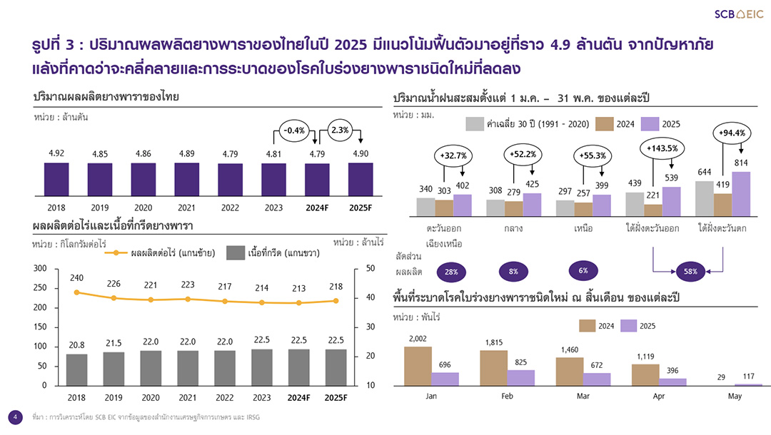 ราคายางพาราโลกปี 2025