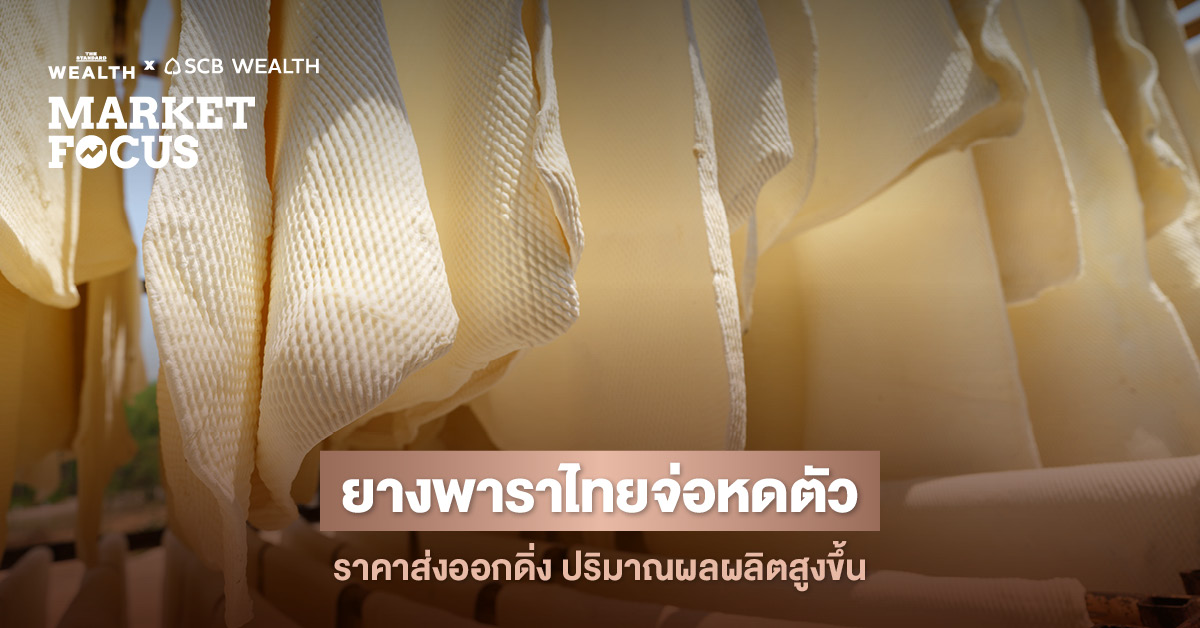 ราคายางพาราโลกปี 2025