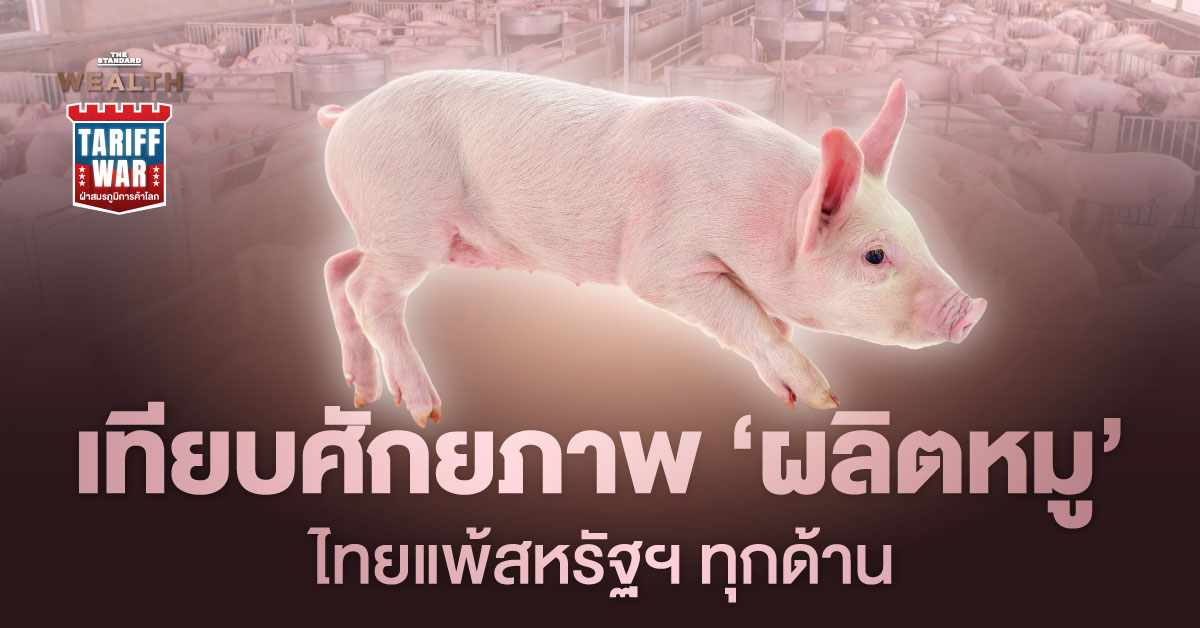 เปรียบเทียบศักยภาพการผลิตหมูไทยกับสหรัฐฯ ด้านราคาและต้นทุน