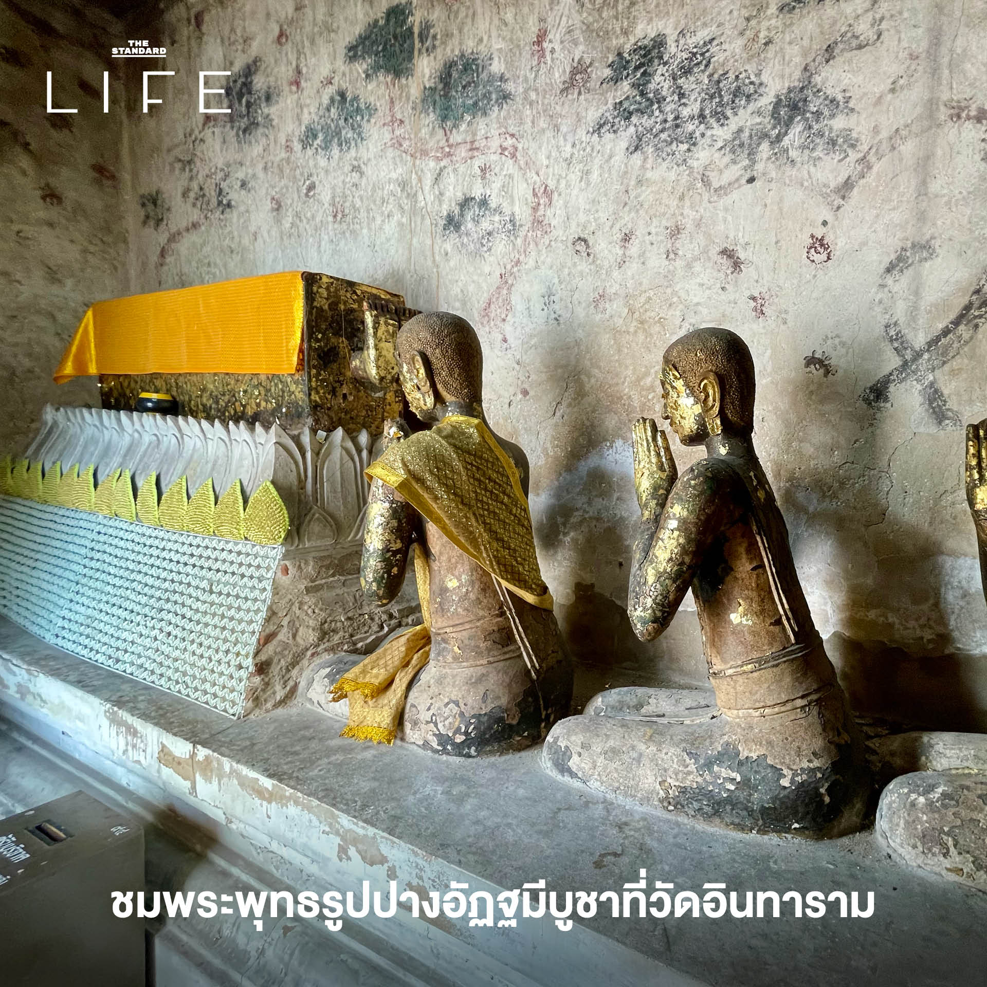ปั่นจักรยานเที่ยวตลาดพลู