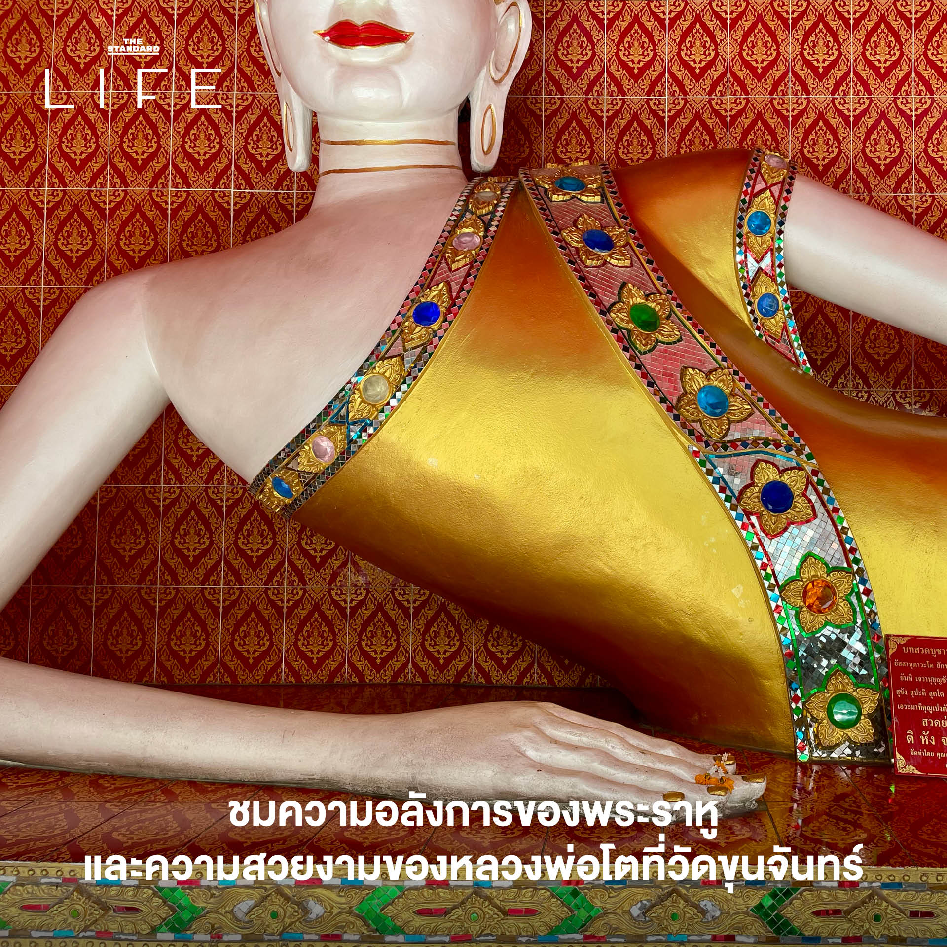 ปั่นจักรยานเที่ยวตลาดพลู