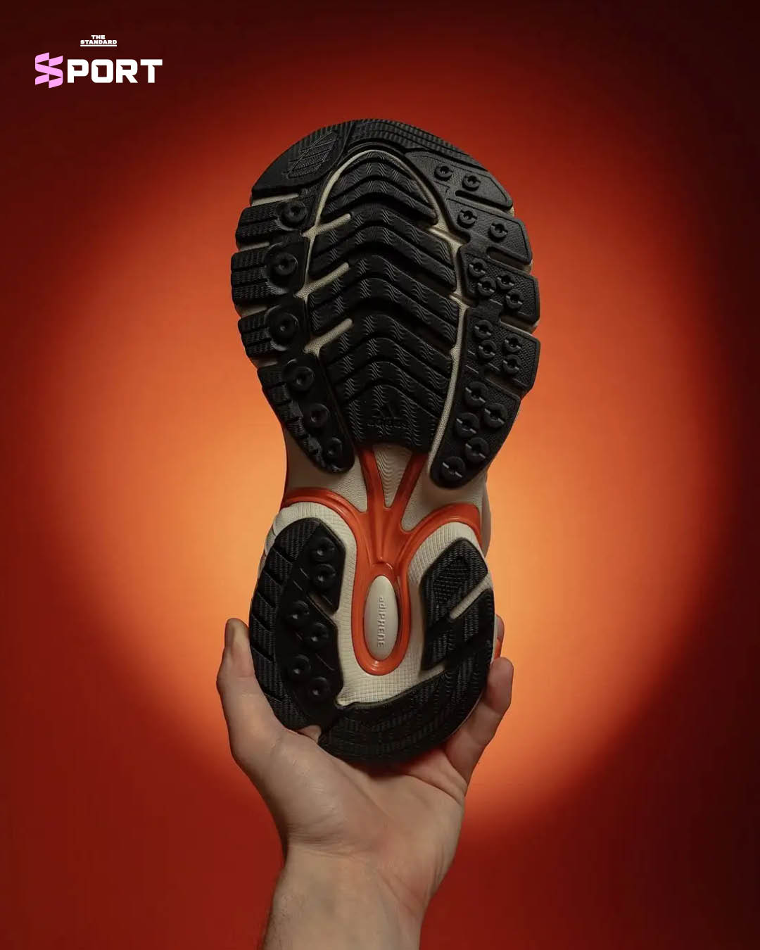 adidas VIRGINIA Adistar Jellyfish