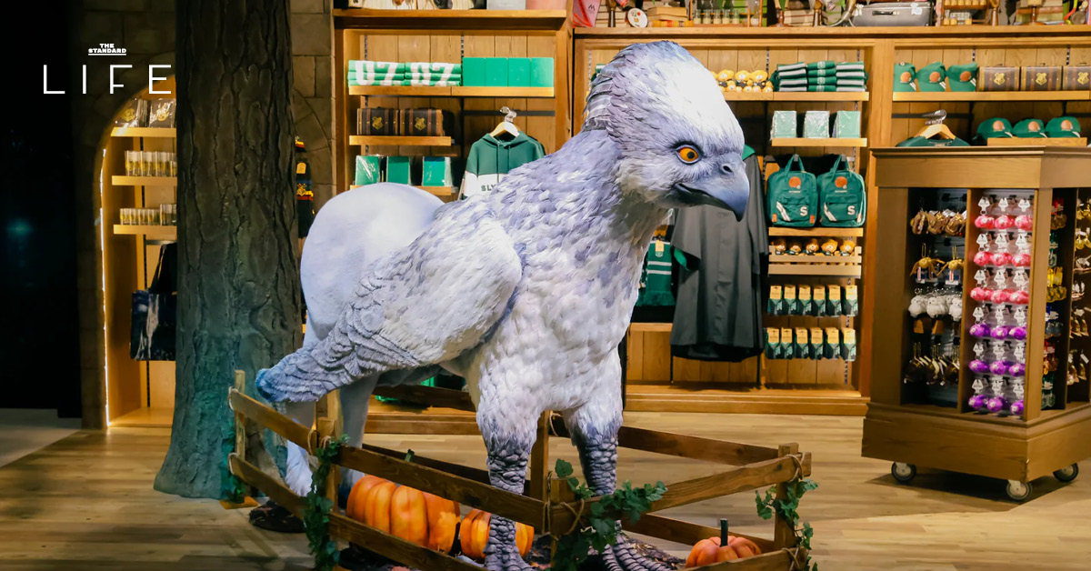 Harry Potter Shop Harajuku