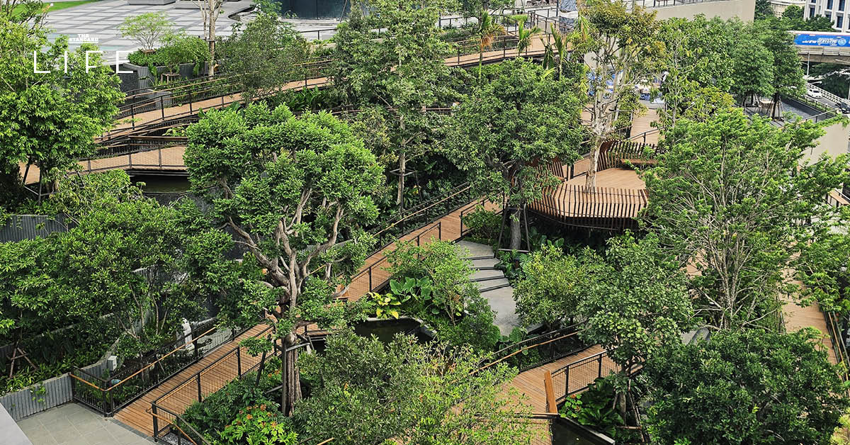 Roof Park Dusit Central Park