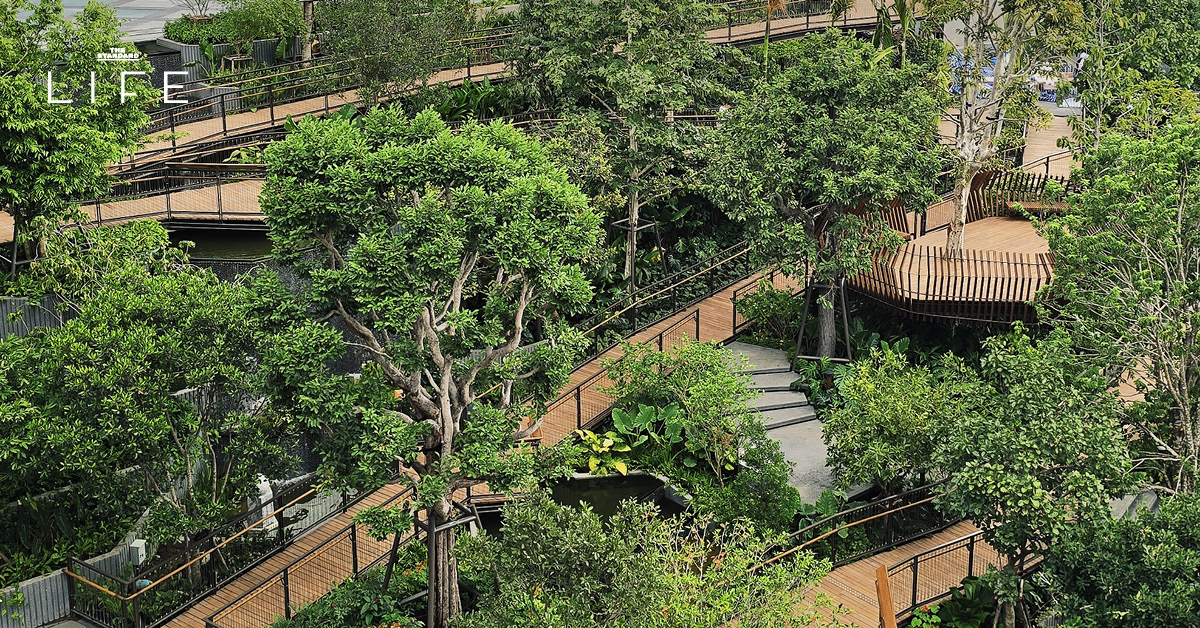 dusit-arun-roof-park-opening