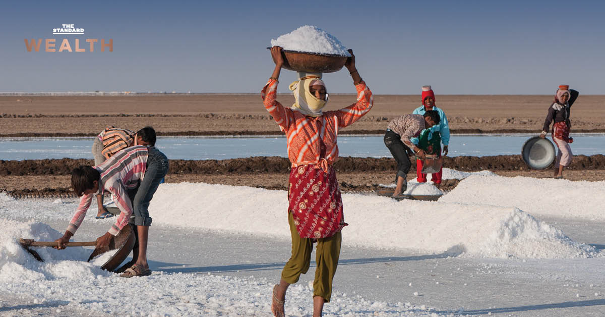 india-salt-workers-health-crisis