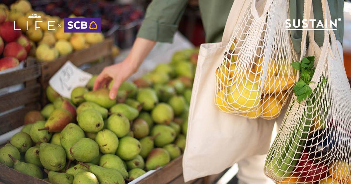 Sustainable Shopping