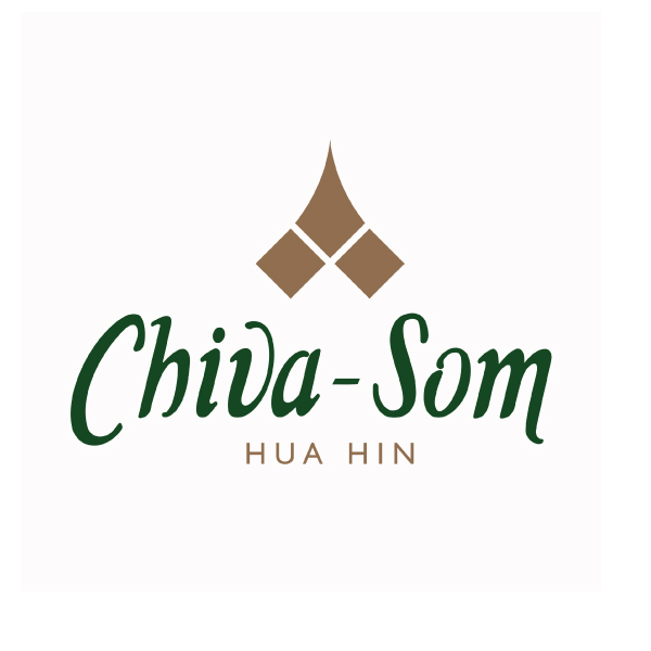 CHIVA-SOM