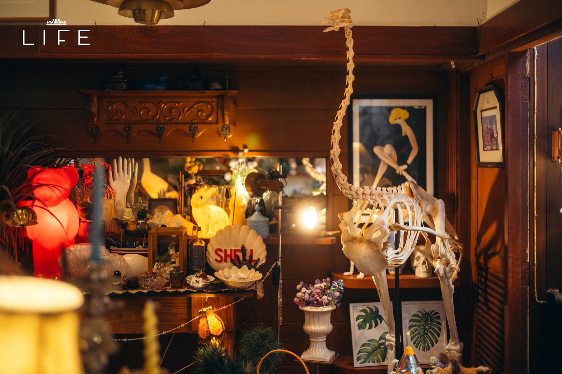 Oyster & Things สุขุมวิท 36 ร้านของแต่งบ้านวินเทจ