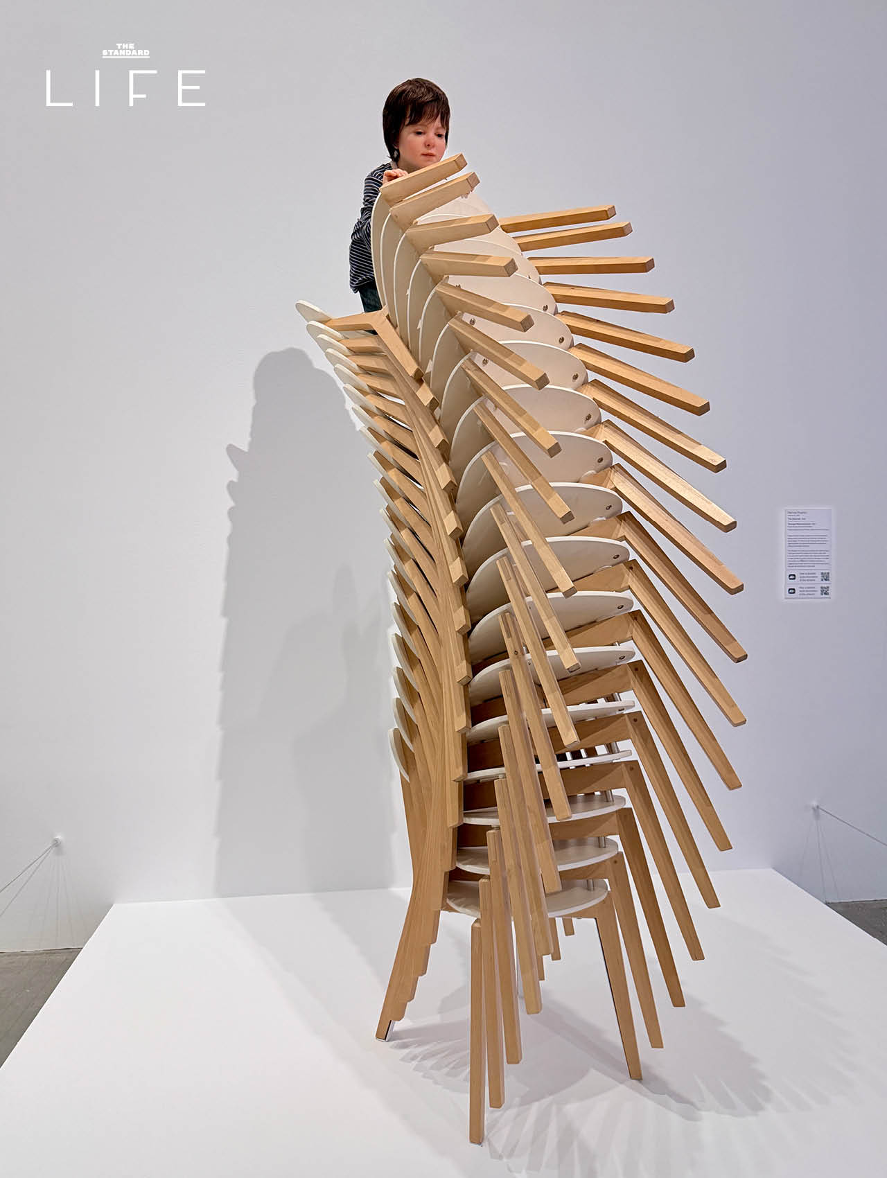 บริสเบน ออสเตรเลีย Slow but Sophisticated