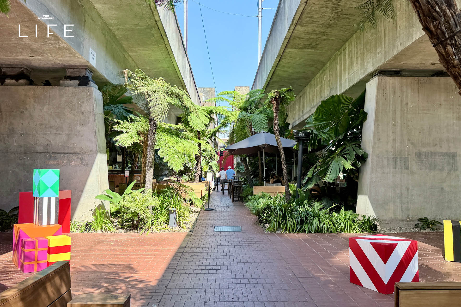 บริสเบน ออสเตรเลีย Slow but Sophisticated