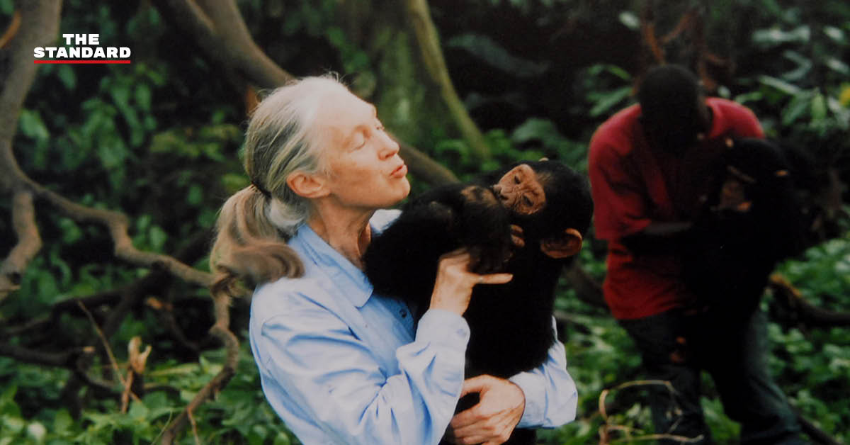 JaneGoodall-Dies-91-Primatologist-Conservationist