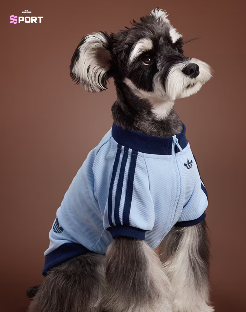 adidas คอลเลกชันสัตว์เลี้ยง