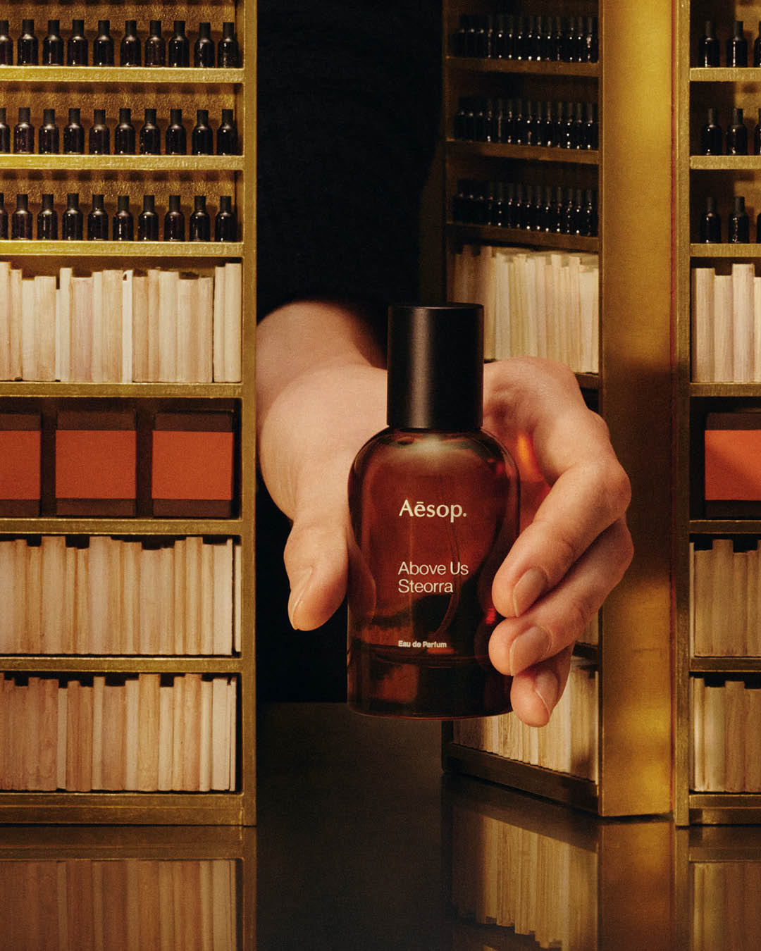 AESOP GIFT KITS 2025 เซตของขวัญประจำปีภายใต้แนวคิด “From our home to yours” 3