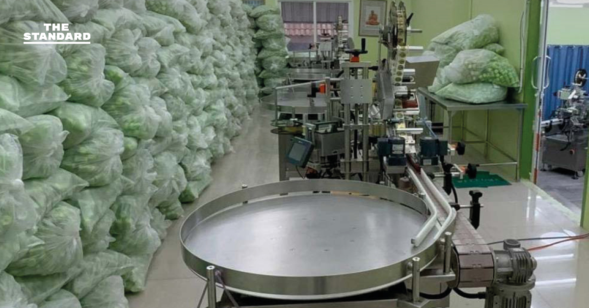 ตำรวจ-อย.บุกทลายแหล่งผลิตยาดมสมุนไพรดัง พบลักลอบผลิตนอกสถานที่ขออนุญาต ยึดของกลางกว่า 2.3 ล้านชิ้น มูลค่า 100 ล้านบาท