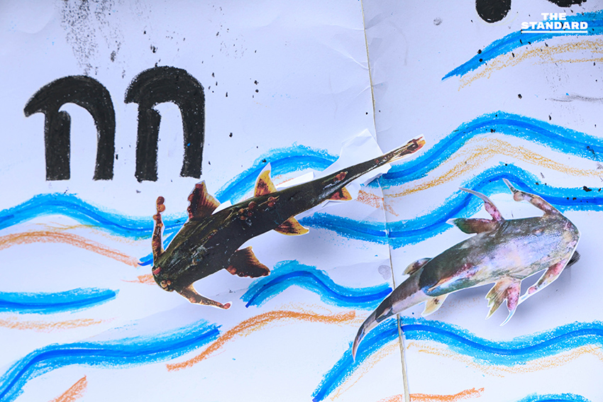 เครือข่ายประชาชนค้านดีลลับแร่ธาตุสำคัญ ไทย-สหรัฐฯ หวั่นเหนือกฎหมายแร่ ร้องสถานทูตหยุด MOU ทันที 7