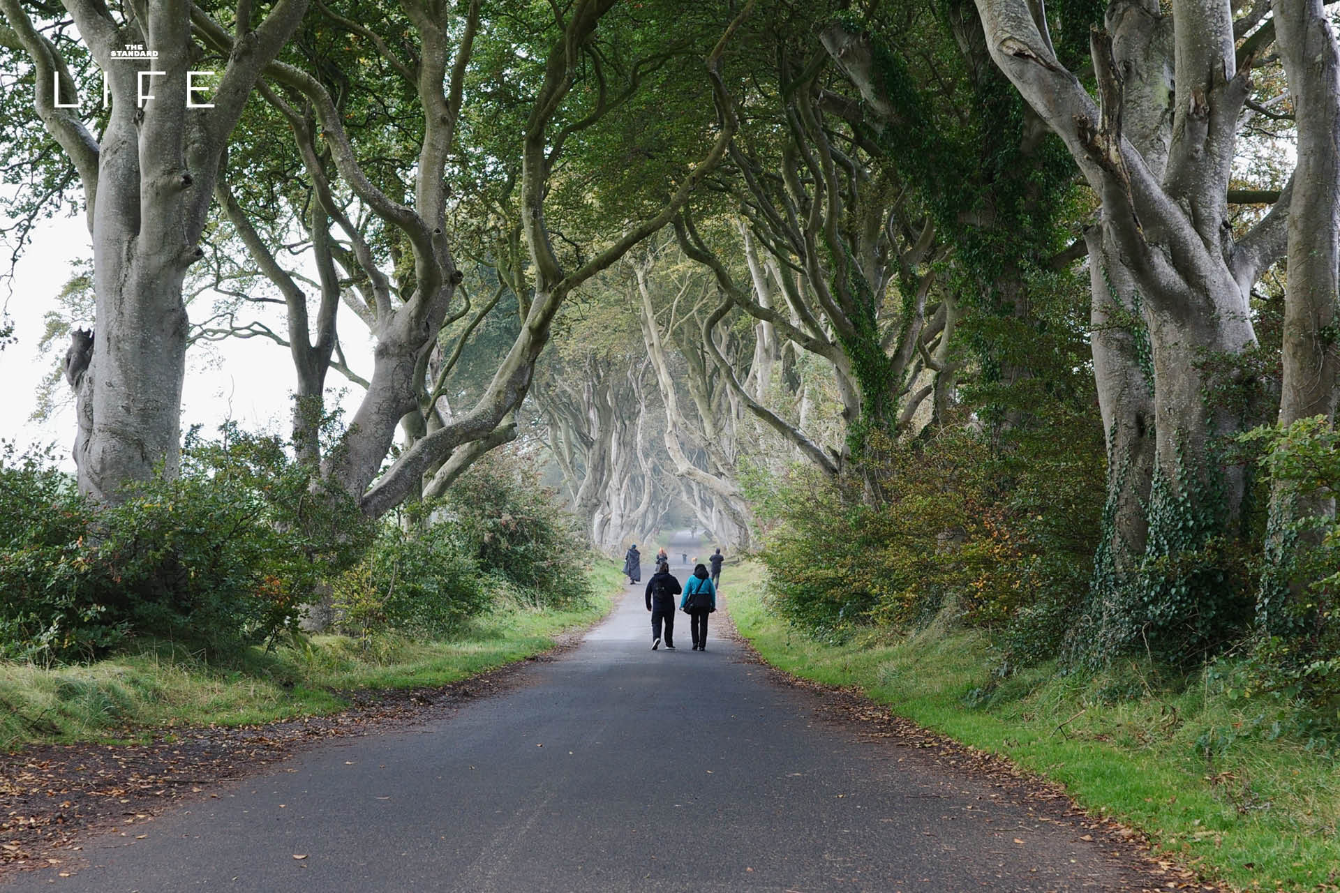 พาไปส่อง 3 โลเคชั่นจริงจาก Game of Thrones ที่ Northern Ireland 6