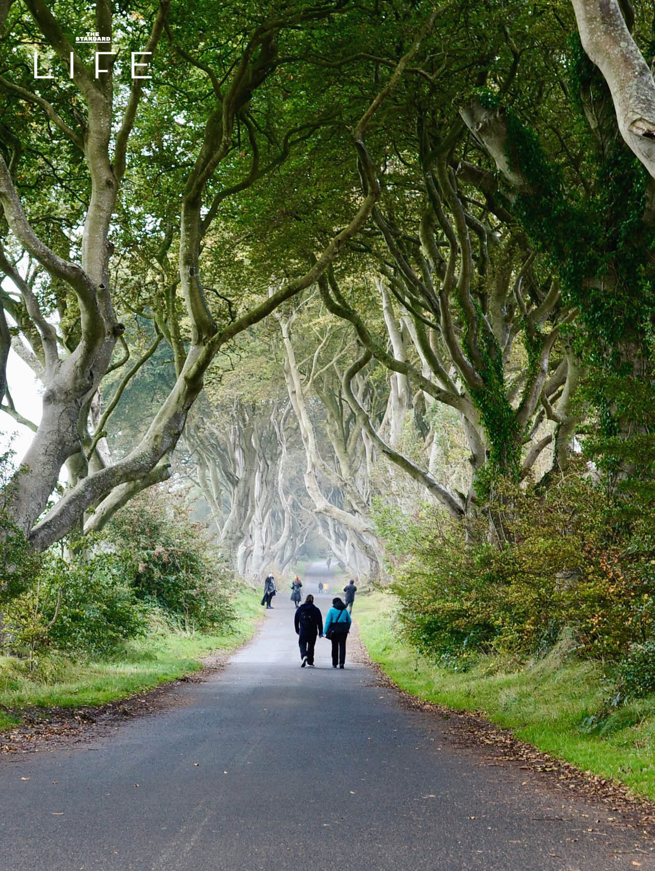 พาไปส่อง 3 โลเคชั่นจริงจาก Game of Thrones ที่ Northern Ireland 8