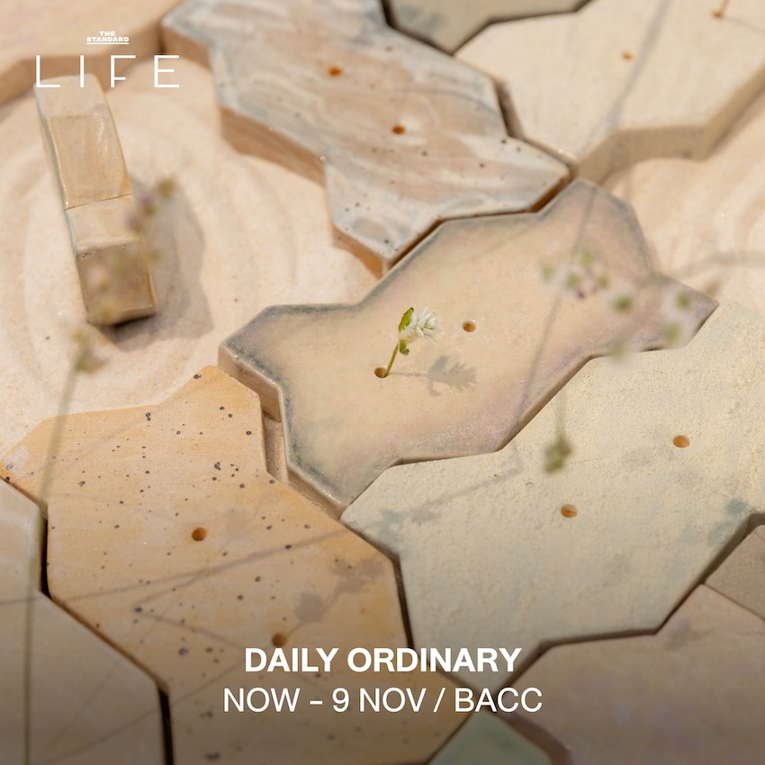 Visual Biography II: Daily Ordinary