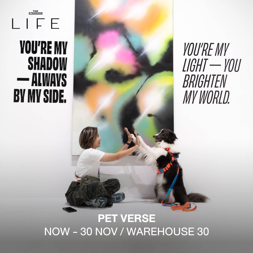 PET VERSE: From Heart to Myth