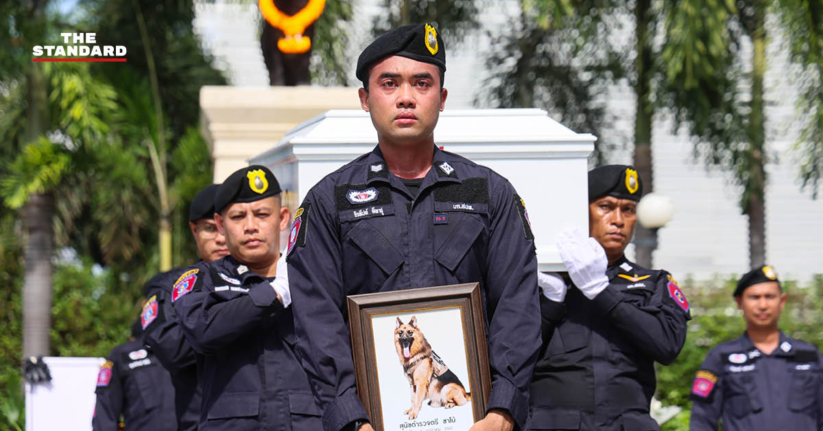 COVER - Mourning Beloved Police Dog Sabo