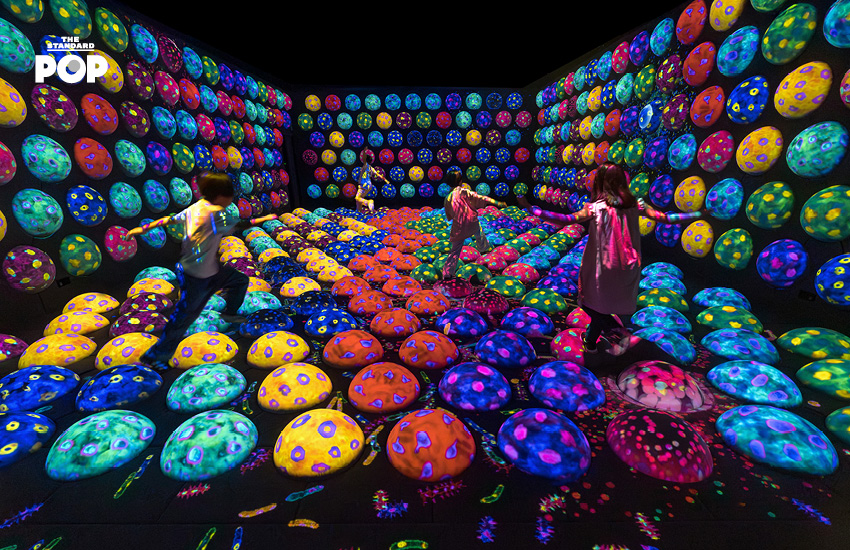 teamLab Biovortex Kyoto ท่องโลกงานศิลปะสุดล้ำแห่งใหม่ในกรุง เกียวโต 5